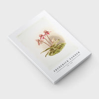 Frederick Sander - Cypripedium tautzianum from Reichenbachia Orchids-1847-1920