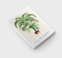 
              Paul de Longpre - A lithograph of Cocos Weddelliana 1875
            