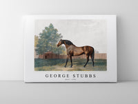 
              George Stubbs - Anvil 1794
            