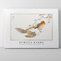 Numata Kashu - Golden Pheasant and Flower of Japanese Quince illustration from Pictorial Monograph of Birds (1885)
