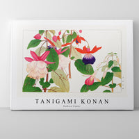 Tanigami Konan - Fuchsia flower