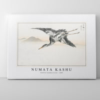 Numata Kashu - Eastern Common Crane illustration from Pictorial Monograph of Birds (1885)