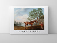 
              George Stubbs - Pumpkin with a Stable-lad 1774
            
