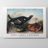 John James Audubon - English Black Cocks (1828)