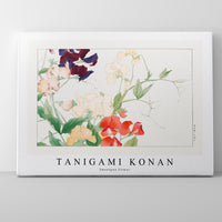 Tanigami Konan - Sweetpea flower