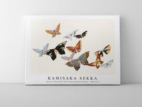 
              Kamisaka Sekka - Japanese butterfly (One Thousand Butterflies) - 1904 (11)
            