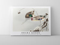 
              Ohara Koson - Two Mallards near a Snow-Covered Lotus (1925 - 1936) by Ohara Koson (1877-1945)
            