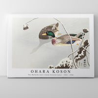 Ohara Koson - Two Mallards near a Snow-Covered Lotus (1925 - 1936) by Ohara Koson (1877-1945)
