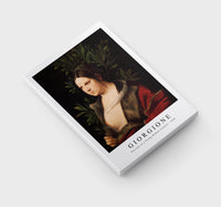 
              Giorgione - Portrait of a Young Woman (Laura) 1506
            