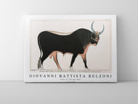 
              Giovanni Battista Belzoni - Plate 15  The Apis Bull 1778-1823
            