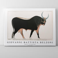 Giovanni Battista Belzoni - Plate 15  The Apis Bull 1778-1823