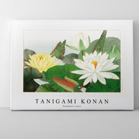 Tanigami Konan - Nymphaea lotus