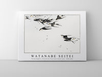 
              Watanabe Seitei - Flying magpies, illustration from Seitei Kacho Gafu 1890-1891
            