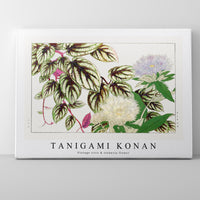 Tanigami Konan - Vintage vitis & stokesia flower