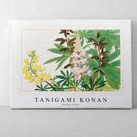 Tanigami Konan - Lupinus flower