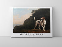 
              George Stubbs - Foxhound 1760
            