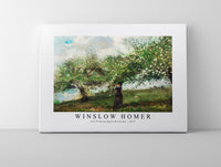 
              winslow homer - Girl Picking Apple Blossoms-1879
            