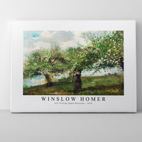 winslow homer - Girl Picking Apple Blossoms-1879