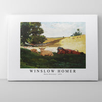 winslow homer - Warm Afternoon-1878