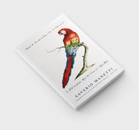 
              Saverio Manetti - Pappagallo detto arara rossa del Brasile (Macaw) 1723-1785
            
