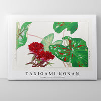 Tanigami Konan - Vintage sweet william flower