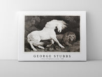 
              George Stubbs - A Horse Affrighted at a Lion 1788
            
