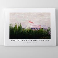 abbott handerson thayer - Roseate Spoonbill-1905-1909