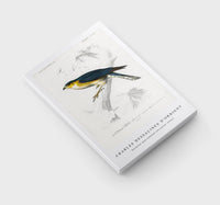 
              Charles Dessalines D'Orbigny - Eurasian sparrowhawk (Accipiter nisus)
            