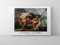 
              George Stubbs - A Lion Attacking a Horse 1762
            