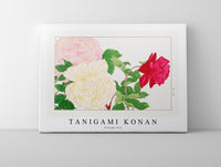 
              Tanigami Konan - Vintage rose
            