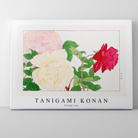 Tanigami Konan - Vintage rose