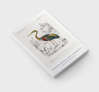 
              Charles Dessalines D'Orbigny - Purple heron (Ardea purpurea)
            