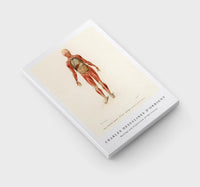 
              Charles Dessalines D'Orbigny - Myology and disposition of the viscera
            