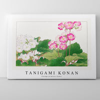 Tanigami Konan - Vintage primrose flower