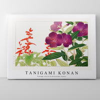 Tanigami Konan - Vintage salvia & melastoma flower
