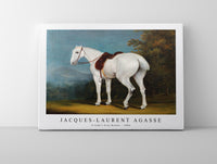 
              Jacques Laurent Agasse - A Lady's Grey Hunter (ca. 1806)
            