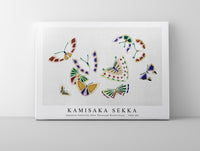 
              Kamisaka Sekka - Japanese butterfly (One Thousand Butterflies) - 1904 (8)
            