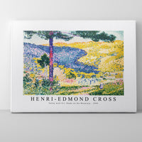 Henri Edmond Cross - Valley with Fir; Shade on the Mountain 1909