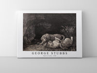 
              George Stubbs - Tygers at play 1780
            