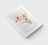 
              Frederick Sander - Cattleya labiata from Reichenbachia Orchids-1847-1920
            