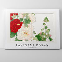 Tanigami Konan - Hollyhock flower