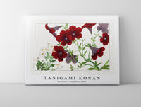 
              Tanigami Konan - Matricaria & salpiglossis flower
            