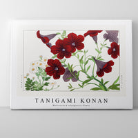 Tanigami Konan - Matricaria & salpiglossis flower