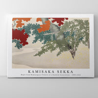 Kamisaka Sekka - Maple from Momoyogusa–Flowers of a Hundred Generations (ca. 1909–1910)