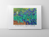 
              Vincent Van - Gogh-Irises 1889
            