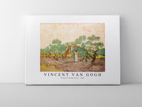 
              Vincent Van Gogh - Women Picking Olives 1889
            