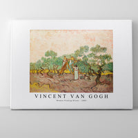 Vincent Van Gogh - Women Picking Olives 1889