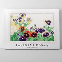 Tanigami Konan - Vintage pansy flower