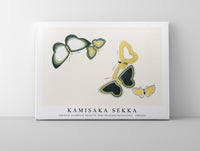 
              Kamisaka Sekka - Japanese woodblock butterfly (One Thousand Butterflies) - 1904(2)
            