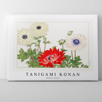 Tanigami Konan - Anemone flower